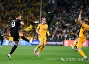 开云体育在线-里昂绝地反击利物浦，弗拉霍维奇关键制胜的简单介绍