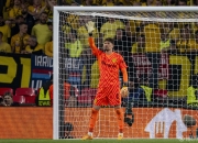 开云体育中国-包含瑞士队在欧预赛中不断调整战术，取得胜利的词条