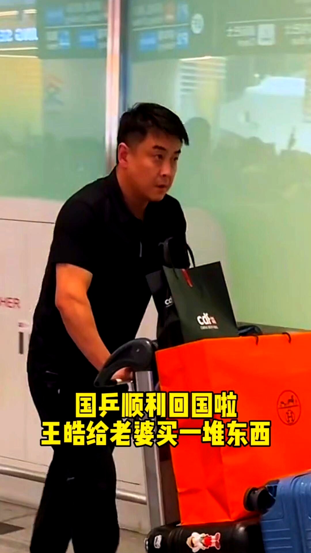 法国乒乓球队绝地反击中国乒乓球队，王皓绝境逆转的简单介绍