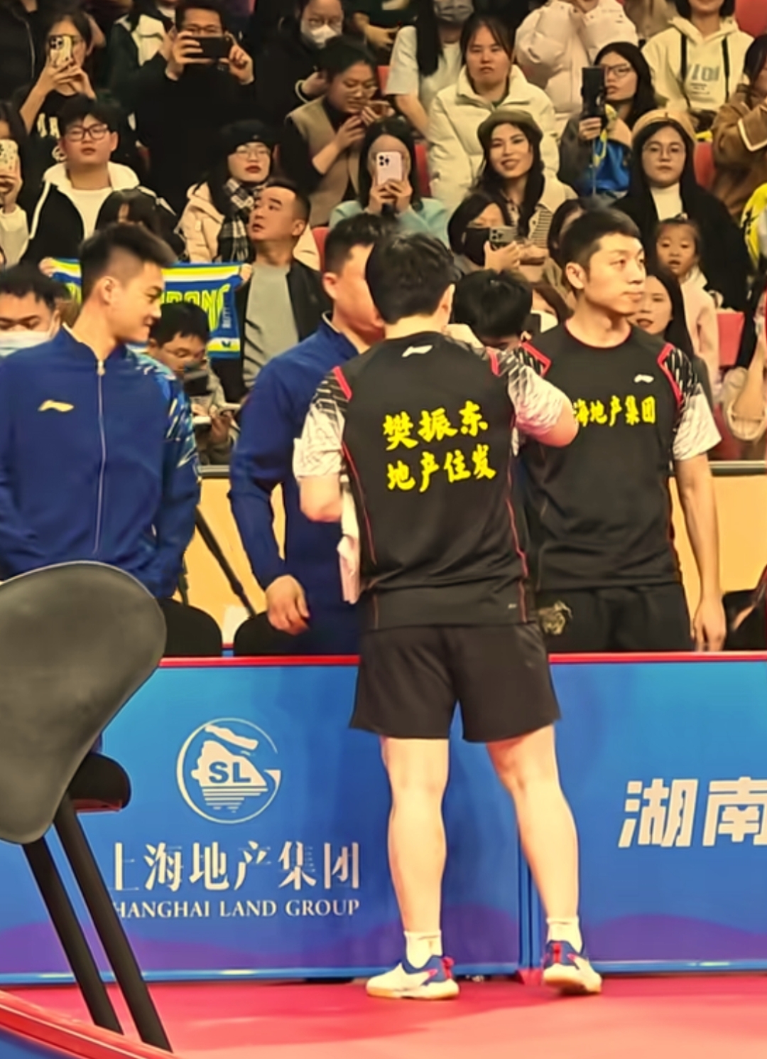 法国队碾压波兰队，许昕扛起全队的简单介绍